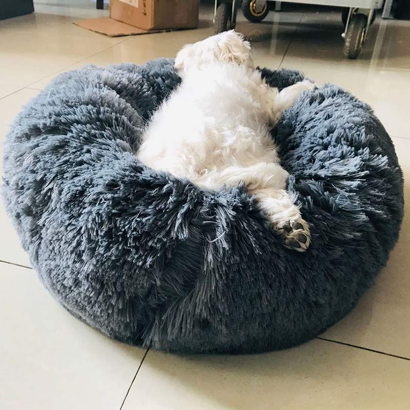 7_HTB1bhCXX5rxK1RkHFCcq6AQCVXan